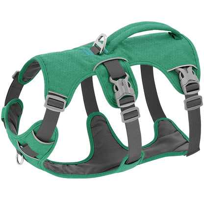 Harnais pour chien reglable