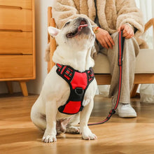 Charger l&#39;image dans la galerie, Harnais pour chien sans traction
