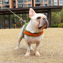 Charger l&#39;image dans la galerie, Harnais pour chien sans traction

