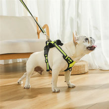 Charger l&#39;image dans la galerie, Harnais pour chien sans traction
