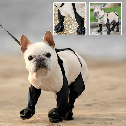 Bottes de pluie pour chien