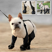 Charger l&#39;image dans la galerie, Bottes de pluie pour chien
