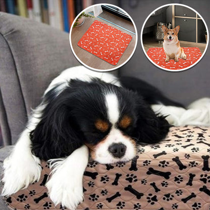 Tapis d'Éveil Lavable pour Chiot | PEE™