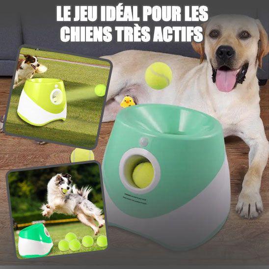 Lanceur de Balles pour Chien Automatique | Ball Luncher™