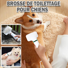 Charger l&#39;image dans la galerie, Sèche-cheveux pour animaux|WOOFDRY™
