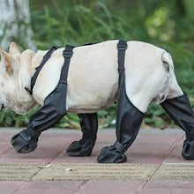 Charger l&#39;image dans la galerie, Bottes de pluie pour chien
