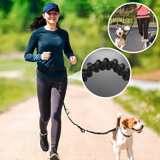 LAISSE RETRACTABLE |DOG LEASH™