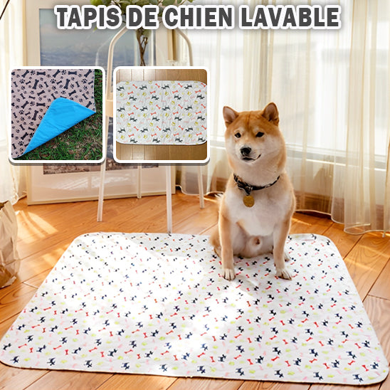 Tapis d'Éveil Lavable pour Chiot | PEE™