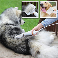 Charger l&#39;image dans la galerie, Sèche-cheveux pour animaux|WOOFDRY™
