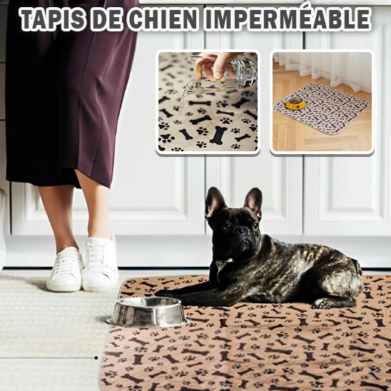 Tapis d'Éveil Lavable pour Chiot | PEE™