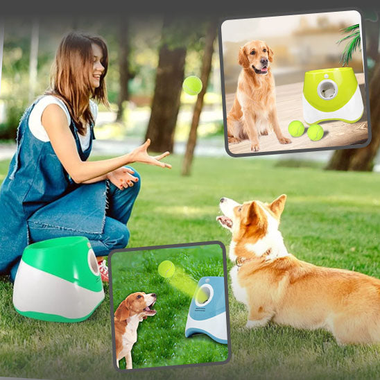 Lanceur de Balles pour Chien Automatique | Ball Luncher™