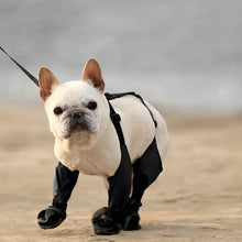 Charger l&#39;image dans la galerie, Bottes de pluie pour chien
