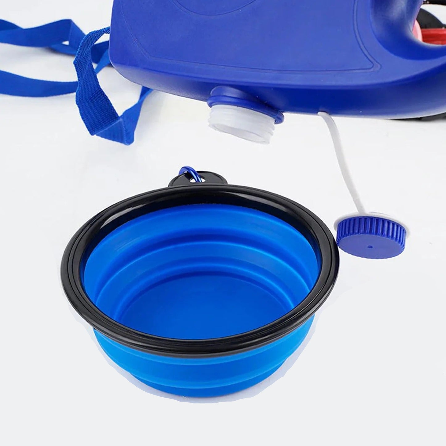 Laisse multifonction pour chien